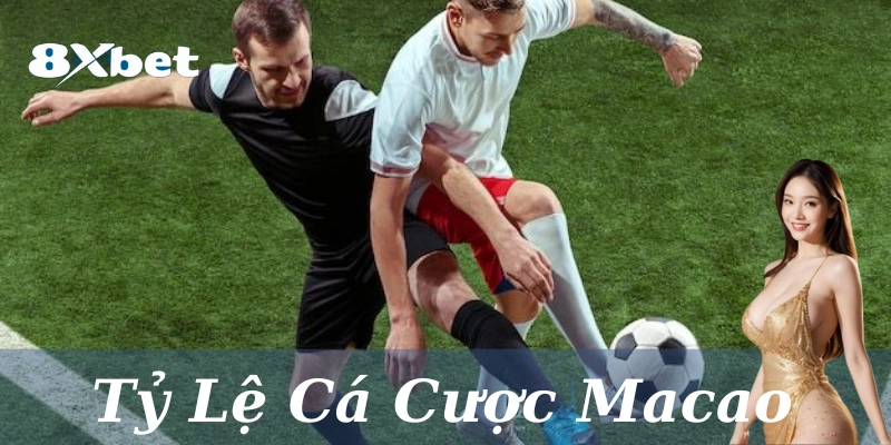 Lý thuyết về việc đọc tỷ lệ
